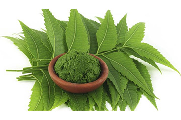 Catechin Kattha